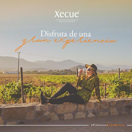 Готель Vinos Xecue Енсенада Екстер'єр фото