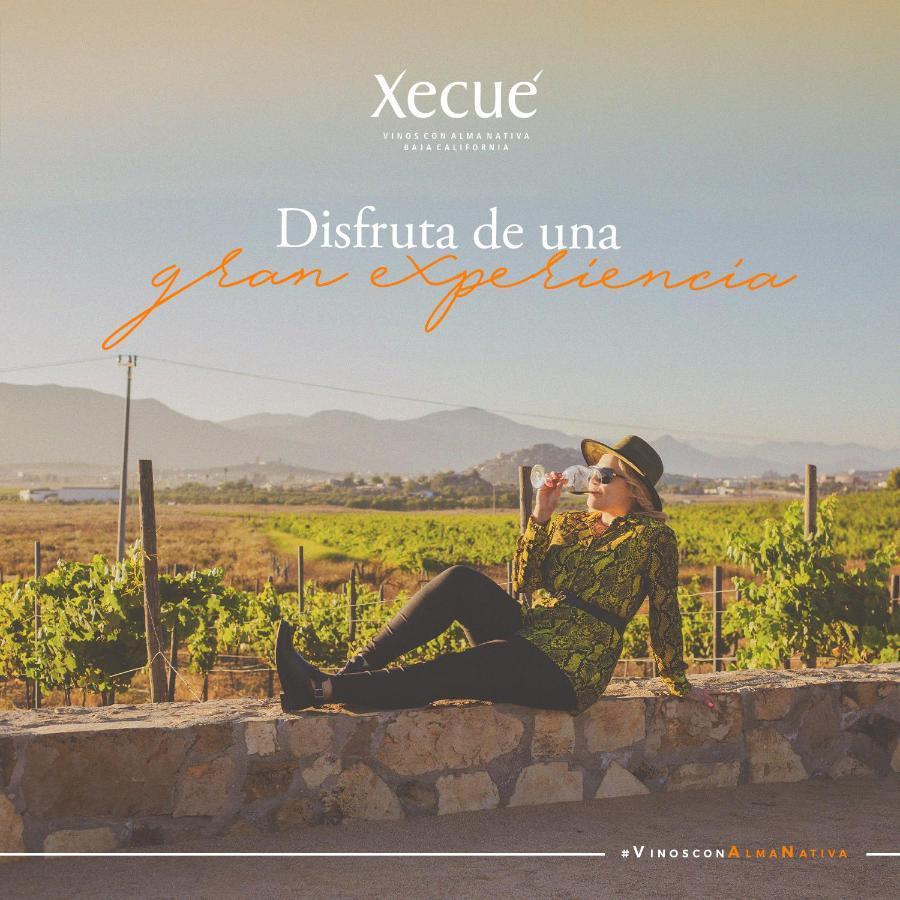 Готель Vinos Xecue Енсенада Екстер'єр фото
